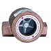 Dwyer MIDWEST Series SFI-100 Sight Flow Indicator, Single Window, Bronze Body