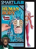 Smart Lab You Explore It: Human Body Model