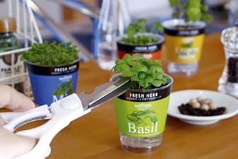 フレッシュハーブ：4種栽培セット（底面給水）[種から育てる栽培セット]