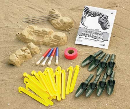 51N3qZvvxTL Educational Insights GeoSafari Classroom Dinosaur Dig Kit