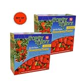TOPSY TURVY STRAWBERRY PLANTER-''TURNING THE WORLD OF GARDENING UPSIDE DOWN''- SET OF 2