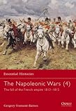 The Napoleonic Wars: The Fall of the French Empire 1813-1815 (4)