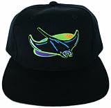 Tampa Bay Devil Rays Black Basic Plastic Snapback Adjustable Hat
