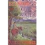 Between the Woods and the Water