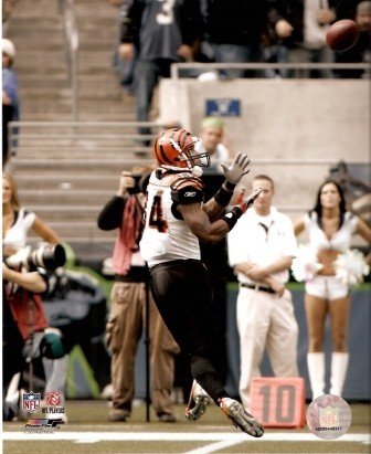 T.J. Houshmenzadeh Cincinnati Bengals Action 8x10 Photo