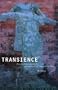 Transience: Chinese Experimental Art at the End of the Twentieth Century