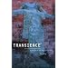 Transience: Chinese Experimental Art at the End of the Twentieth Century