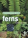 Gardening with ferns