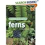 Gardening with Ferns