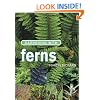 Gardening with Ferns