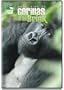 Saving a Species: Gorillas on the Brink