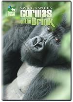 Gorillas on the Brink Movie Online.