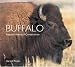 Buffalo: Natural History & Conservation (Worldlife Library)