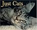 Book Just Cats 2006 16-Month Wall Calendar