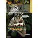 Insectes et principaux arachnides