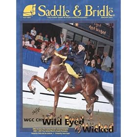 Saddle & Bridle