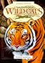 Wild Cats: A Visual Introduction to Wild Cats (Animal Watch)