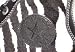 Converse Chuck Taylor All Star Hi Top Zebra Fur Black/White #Image 3