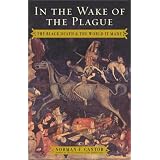 In the Wake of the Plague: The Black Death and the World It Made