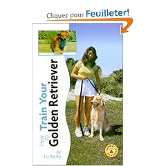How to Train Your Golden Retriever