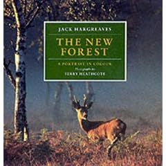 The New Forest: A Portrait in Colour