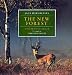 The New Forest: A Portrait in Colour