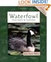 Waterfowl (Animals in Order)