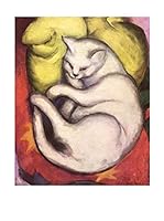 Especial Arte Lienzo Gatto bianco - Mark Franz Multicolor