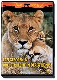 Frei geboren & Drei Strolche in der Wildnis - Virginia McKenna