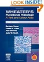 Wheater's Functional Histology: A Text and Colour Atlas