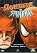 Daredevil vs Spider-Man [DVD] [2002]