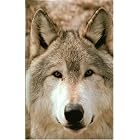 Click here to buy Blank Journal: Wolf by  Brandenberg.