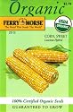 Certified Organic Seeds: Luscious Hybrid Corn