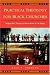 Search : Practical Theology for Black Churches: Bridging Black Theology and African American Folk Religion