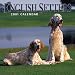 English Setters 2001 Calendar