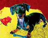 Dachshund Art Print on Canvas