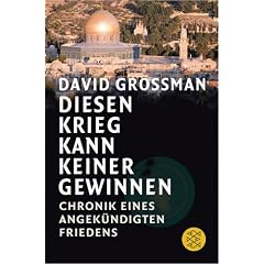 Diesen Krieg kann keiner gewinnen. Chronik eines angekündigten Friedens (Taschenbuch)