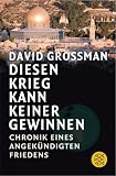 Diesen Krieg kann keiner gewinnen - Chronik eines angek&uuml;ndigten Friedens - David Grossman