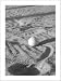 Art4Kids 21648 Golf Ball - Contemporary Mount