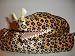 Moray Eel 47 Puppet Plush Stuffed Animal Toy