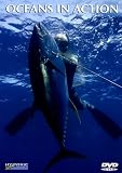 Oceans In Action