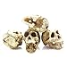 Driak 3Pcs Fish Tank Decorative Aquarium Decorations Head Bone Skull Resin Ornament for Reptile or Fish
