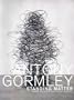 Antony Gormley: Standing Matter (German Edition)