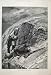 1884 Big Horn Stalking Rocky Mountains Gun Old Print
