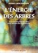 L'�nergie des arbres