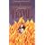 Flame (Leisure historical romance)