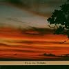 It's in the Twilight