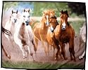 HKM 6656 Tagesdecke aus Fleece -Herde-