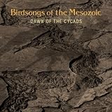 Music : Dawn of the Cycads