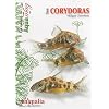 Les corydoras
